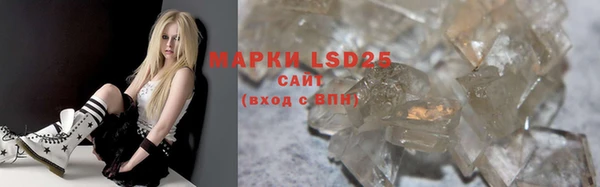 PSILOCYBIN Аркадак