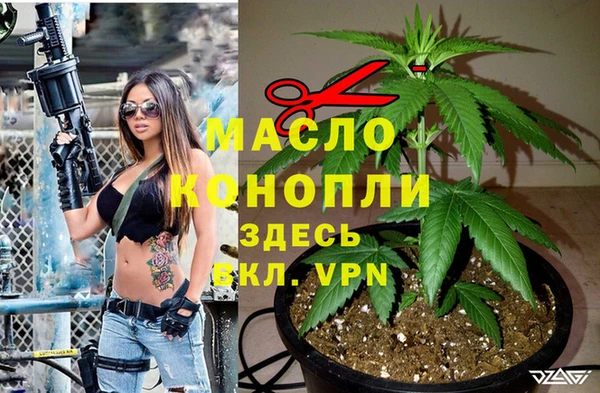 молекула духа Армянск