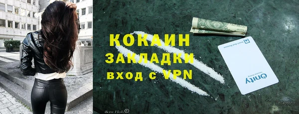 PSILOCYBIN Аркадак