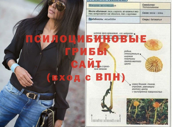PSILOCYBIN Аркадак