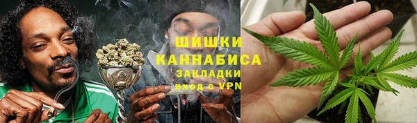 PSILOCYBIN Аркадак
