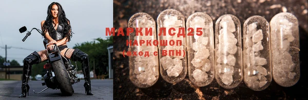 крисы Арсеньев
