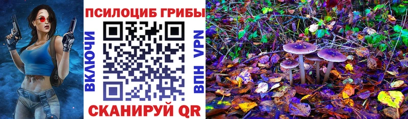 Галлюциногенные грибы мицелий  Долгопрудный 
