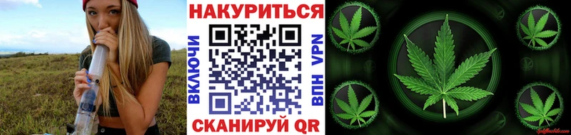 Бошки марихуана OG Kush  Долгопрудный 